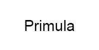 Ремонт кофемашины модели Primula в Химках Ремонт кофемашин Primula